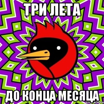 Три лета До конца месяца, Мем Омская птица