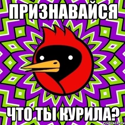 признавайся что ты курила?, Мем Омская птица