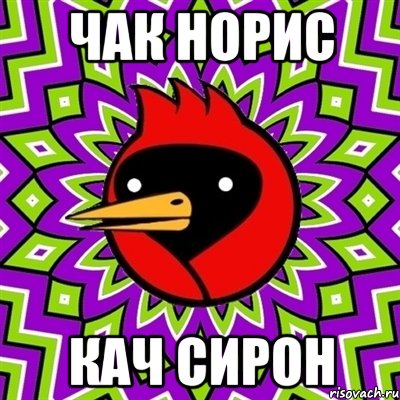 ЧАК НОРИС КАЧ СИРОН, Мем Омская птица