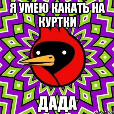 я умею какать на куртки дада, Мем Омская птица