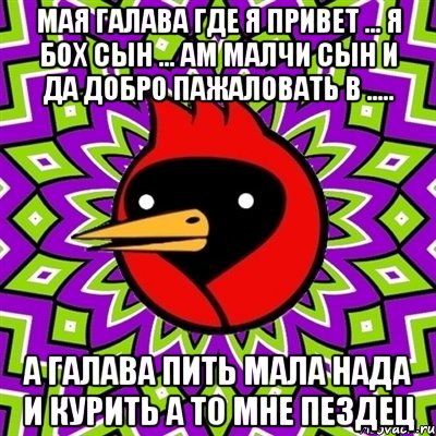 мая галава где я привет ... я бох сын ... ам малчи сын и да добро пажаловать в ..... а галава пить мала нада и курить а то мне пездец, Мем Омская птица