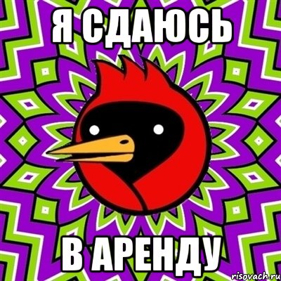 Я сдаюсь В аренду, Мем Омская птица