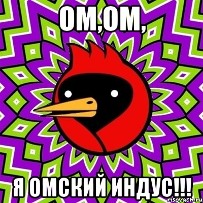 ом,ом, я омский индус!!!, Мем Омская птица