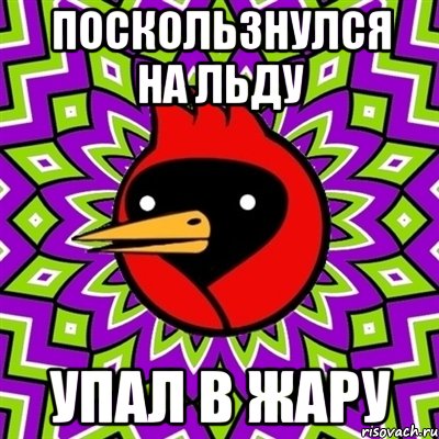 поскользнулся на льду упал в жару, Мем Омская птица