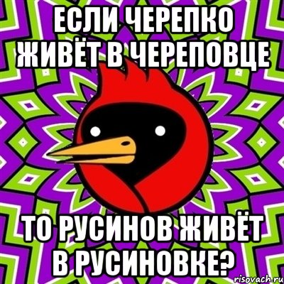 Если Черепко живёт в Череповце То Русинов живёт в Русиновке?, Мем Омская птица