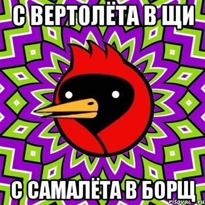 С ВЕРТОЛЁТА В ЩИ С САМАЛЁТА В БОРЩ, Мем Омская птица