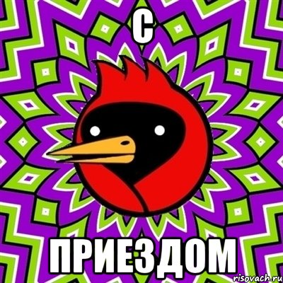 с приездом, Мем Омская птица