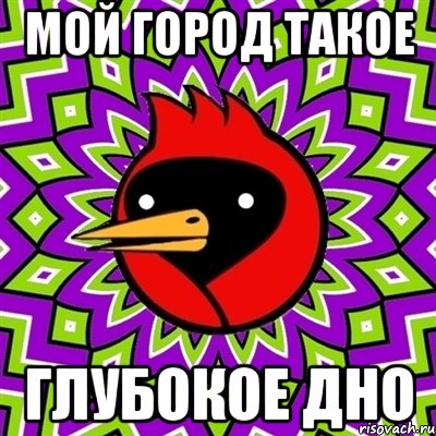 МОЙ ГОРОД ТАКОЕ ГЛУБОКОЕ ДНО, Мем Омская птица