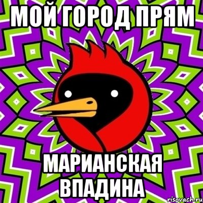 МОЙ ГОРОД ПРЯМ МАРИАНСКАЯ ВПАДИНА, Мем Омская птица