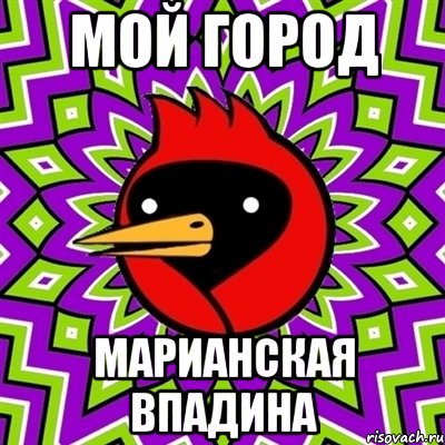 МОЙ ГОРОД МАРИАНСКАЯ ВПАДИНА, Мем Омская птица