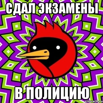 сдал экзамены в полицию, Мем Омская птица