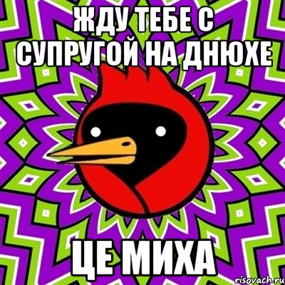 жду тебе с супругой на днюхе це миха, Мем Омская птица