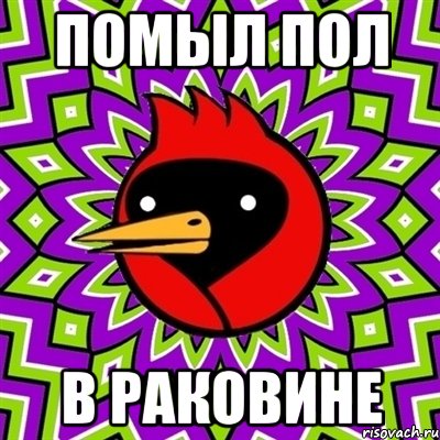 Помыл пол В раковине, Мем Омская птица
