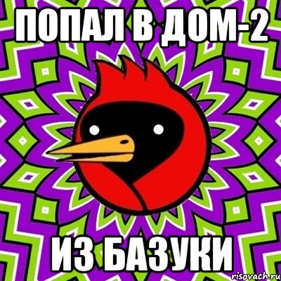 попал в дом-2 из базуки, Мем Омская птица
