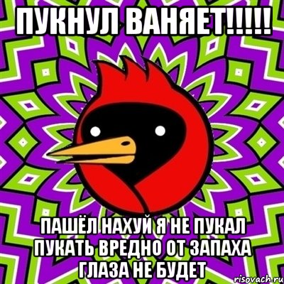 ПУКНУЛ ВАНЯЕТ!!!!! ПАШЁЛ НАХУЙ Я НЕ ПУКАЛ ПУКАТЬ ВРЕДНО ОТ ЗАПАХА ГЛАЗА НЕ БУДЕТ, Мем Омская птица