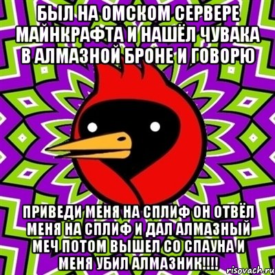 был на омском сервере майнкрафта и нашёл чувака в алмазной броне и говорю приведи меня на сплиф он отвёл меня на сплиф и дал алмазный меч потом вышел со спауна и меня убил алмазник!!!!, Мем Омская птица