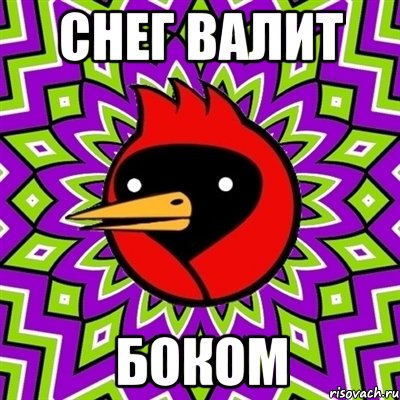 СНЕГ ВАЛИТ БОКОМ, Мем Омская птица