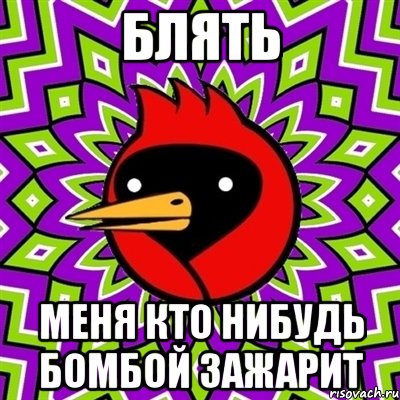 Блять меня кто нибудь Бомбой зажарит, Мем Омская птица