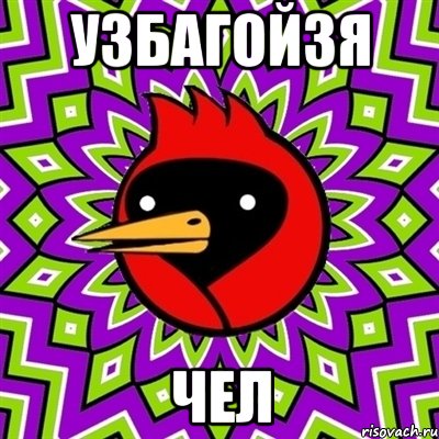 Узбагойзя Чел, Мем Омская птица
