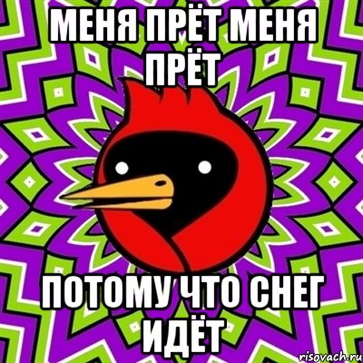 меня прёт меня прёт потому что снег идёт, Мем Омская птица