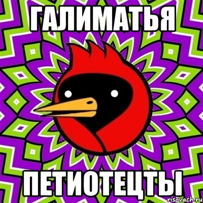 галиматья петиотецты, Мем Омская птица