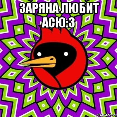 Заряна любит Асю:3 , Мем Омская птица