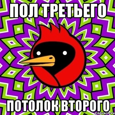 Пол третьего Потолок второго, Мем Омская птица