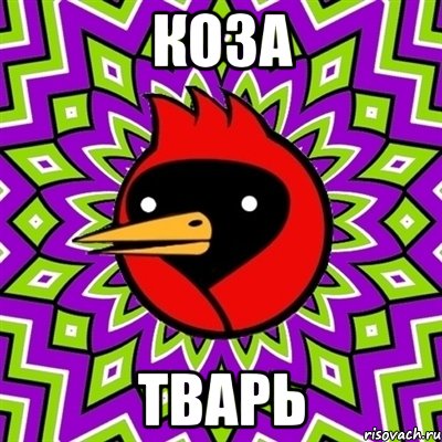 Коза Тварь, Мем Омская птица