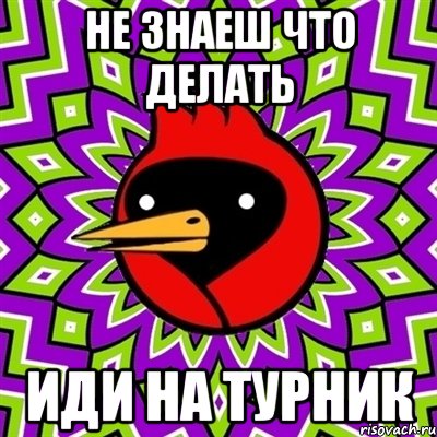 не знаеш что делать иди на турник, Мем Омская птица