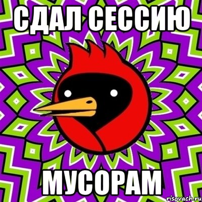 Сдал сессию мусорам, Мем Омская птица