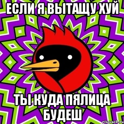 если я вытащу хуй ты куда пялица будеш, Мем Омская птица
