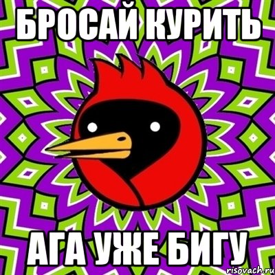 бросай курить ага уже бигу, Мем Омская птица