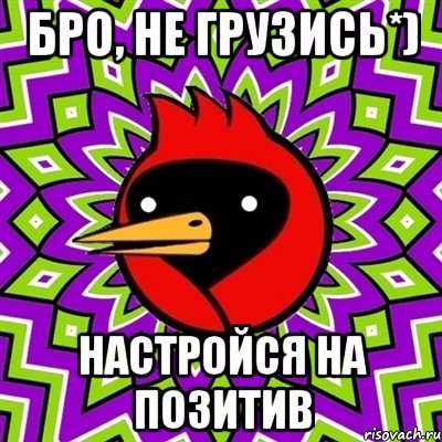 Бро, не грузись*) Настройся на позитив, Мем Омская птица