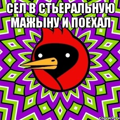 сел в стьеральную мажыну и поехал , Мем Омская птица