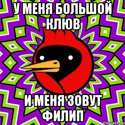 У меня большой клюв и меня зовут Филип, Мем Омская птица