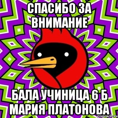 СПАСИБО ЗА ВНИМАНИЕ БАЛА УЧИНИЦА 6 Б МАРИЯ ПЛАТОНОВА, Мем Омская птица