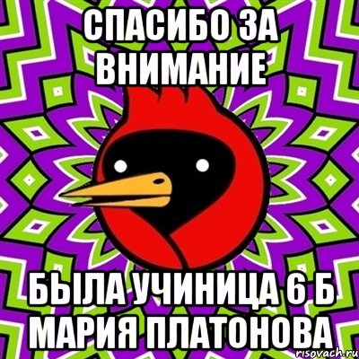 СПАСИБО ЗА ВНИМАНИЕ БЫЛА УЧИНИЦА 6 Б МАРИЯ ПЛАТОНОВА, Мем Омская птица