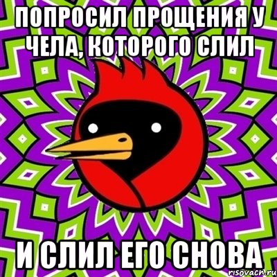 Попросил прощения у чела, которого слил И слил его снова, Мем Омская птица