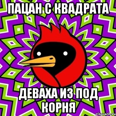 пацан с квадрата деваха из под корня, Мем Омская птица