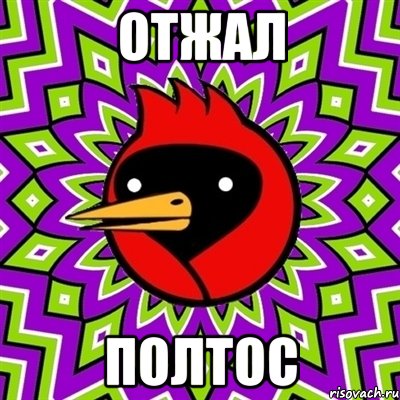 отжал полтос, Мем Омская птица