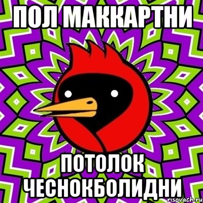 Пол Маккартни Потолок ЧеснокБолидни, Мем Омская птица
