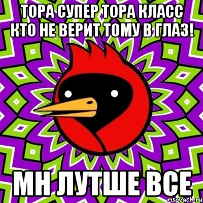тора супер тора класс кто не верит тому в глаз! мн лутше все, Мем Омская птица