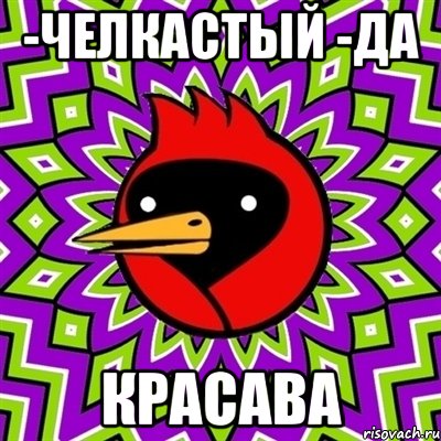 -челкастый -да красава, Мем Омская птица