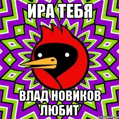 ИРА ТЕБЯ ВЛАД НОВИКОВ ЛЮБИТ, Мем Омская птица