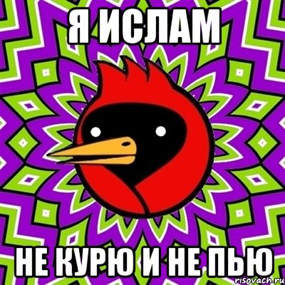я ислам не курю и не пью, Мем Омская птица