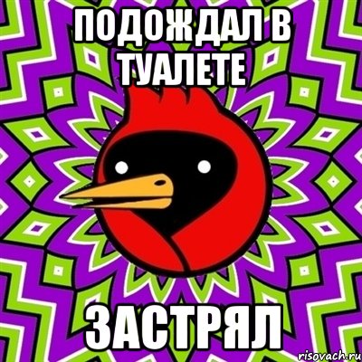 Подождал в туалете Застрял, Мем Омская птица