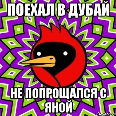 Поехал в Дубай не попрощался с яной, Мем Омская птица