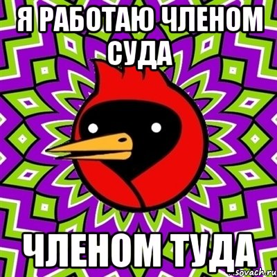Я РАБОТАЮ ЧЛЕНОМ СУДА ЧЛЕНОМ ТУДА, Мем Омская птица