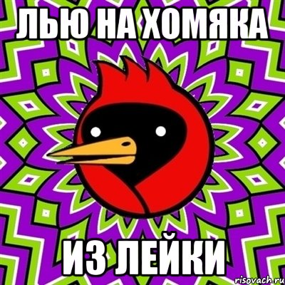 Лью на хомяка Из лейки, Мем Омская птица