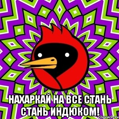  НАХАРКАЙ НА ВСЕ СТАНЬ СТАНЬ ИНДЮКОМ!, Мем Омская птица